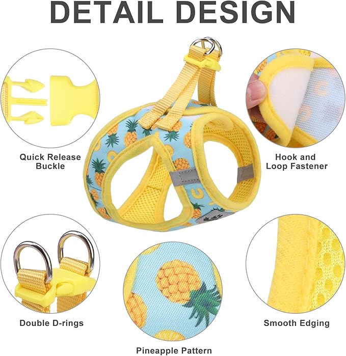 EXPAWLORER Small Dog Harness and Leash Set - Cute Puppy Harness Leash Dog Collar with AirTag Holder Silicone Case, Soft Padded Step in Pet Vest Reflective for Outdoor Walking, Pineapple M