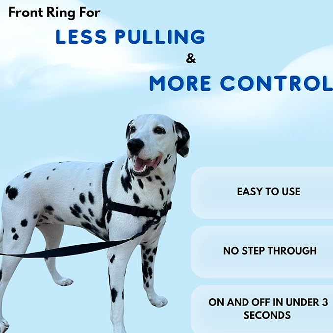 ShawnCo Dream Walk No-Pull Dog Harness- Adjustable, Comfortable, Easy to Use Pet Halter to Help Stop Pulling for Small, Medium and Large Dogs (Oceanic Blue, M)