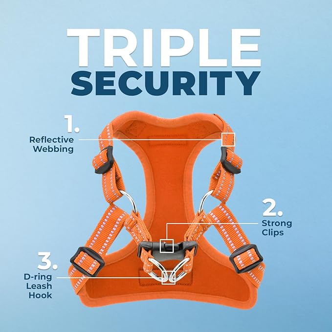 Best Pet Supplies Voyager Adjustable Step-in Flex Breathable Mesh Dog Harness for Small Medium Large Dogs (Orange), M