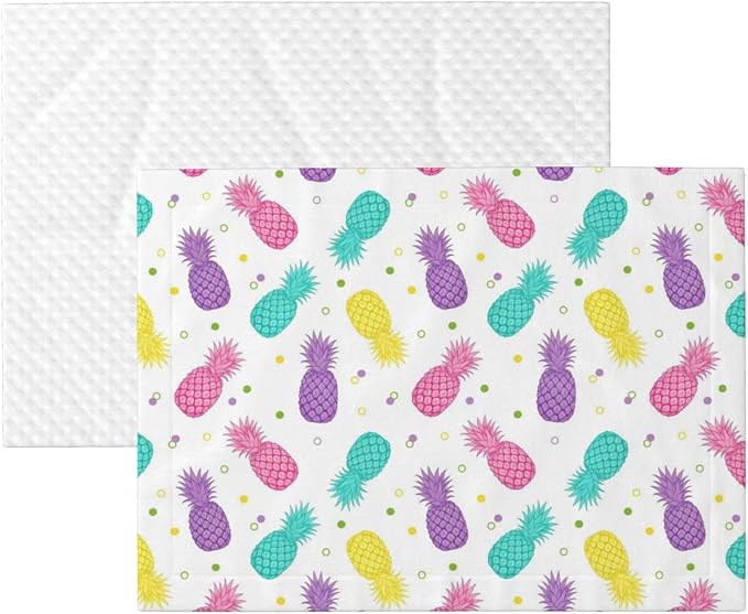 Pet Blanket for Couches and Beds, Colorful Tropical Summer Pineapple Print, Reversible Double Sided Plush Design with Soft Bumpy Texture and Smooth Surface, Furniture Protector