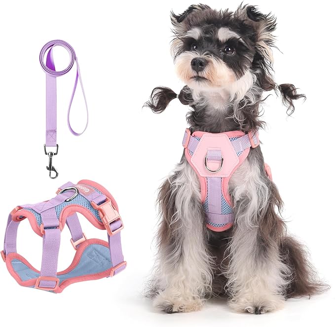 Small Dog Harness and Leash Set, Breathable Mesh Puppy Harness, Adjustable Dog Harness for Small Medium Large Dogs, No-Pull Pet Harness for Daily Walking (Blue, X-Large)
