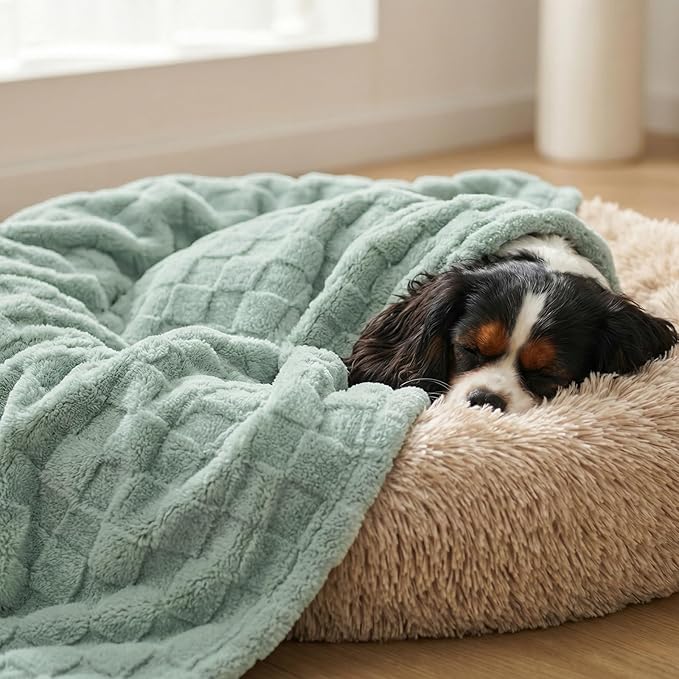 David's Home Large Dog Blankets Washable Pet Bed Cover, Soft Fluffy Fuzzy Cat Puppy Blanket with Premium 300GSM Fleece for Pet Kitten Doggy, Aqua Gray, 50x60IN