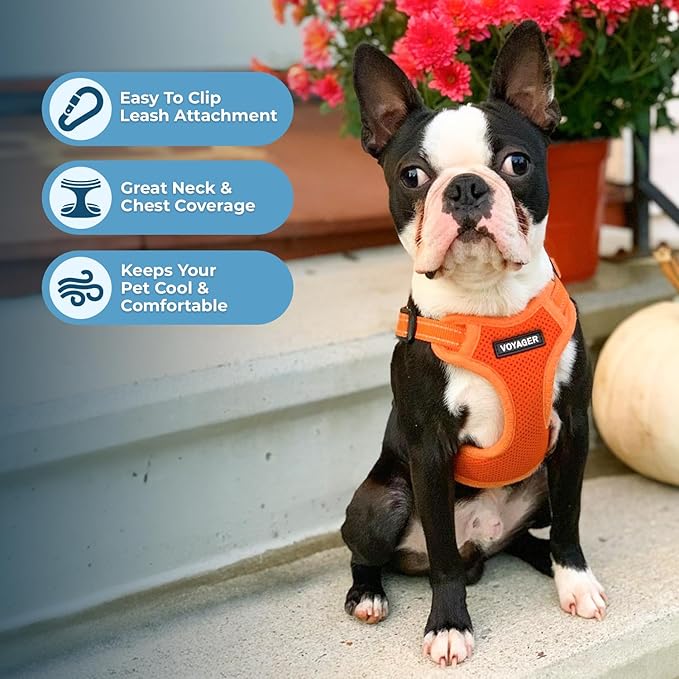 Best Pet Supplies Voyager Adjustable Step-in Flex Breathable Mesh Dog Harness for Small Medium Large Dogs (Orange), S