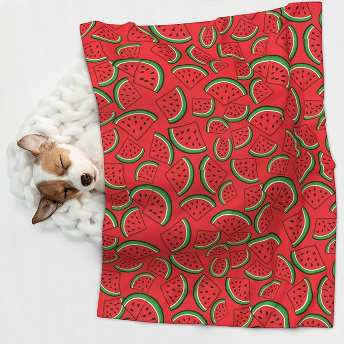 Pet Blanket for Travel and Home, Summer Fruit Red Green Watermelon, Reversible Plush Dot Design with Soft Grip Texture on One Side Perfect for Car Seats Moving Vehicles