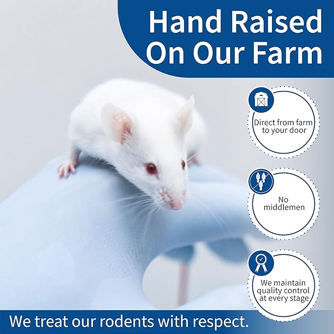 MiceDirect 150 Frozen Mice Combo Pack of 75 Hoppers and 75 Weanling Feeders Snake Food for Juvenile Ball Python Adult Milk Corns (1.5-2.5 in)(Pack of 150)(1500 Grams Min)