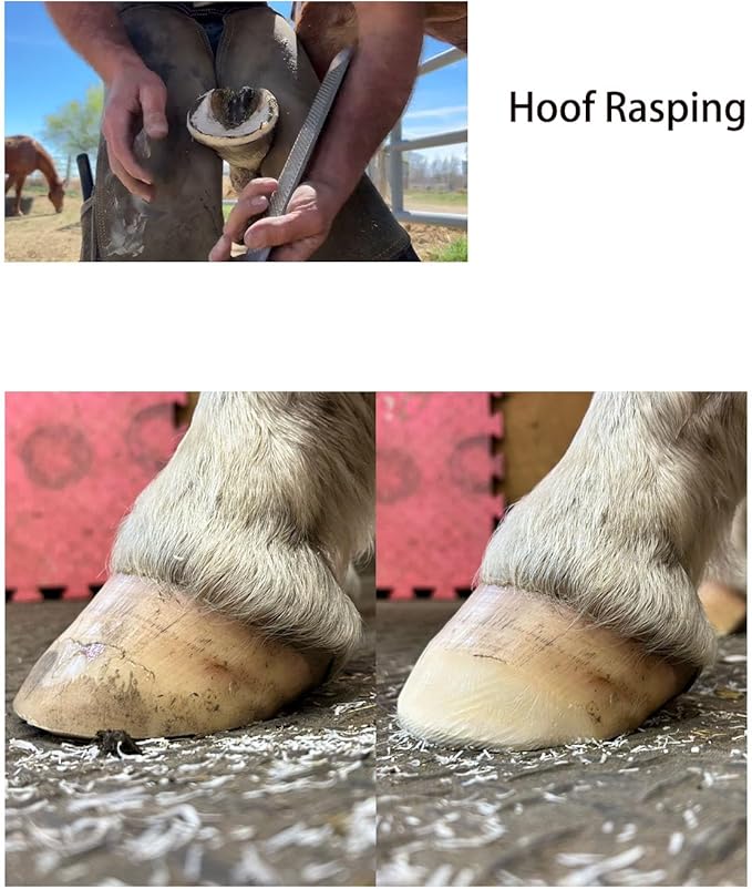 8-Inch Hoof Rasp Set (4 Pack) – Portable Precision Files for Hoof Detailing