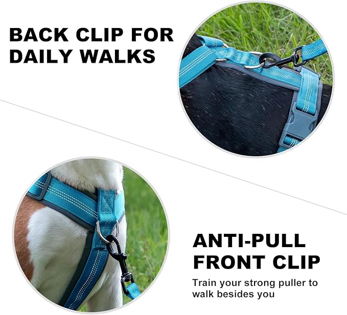 Plutus Pet No Pull Dog Harness, Adjustable Nylon Harness with Soft Padding, Reflective and Heavy Duty Dog Harness for Small, Medium, Large Dogs(Cyan, M)