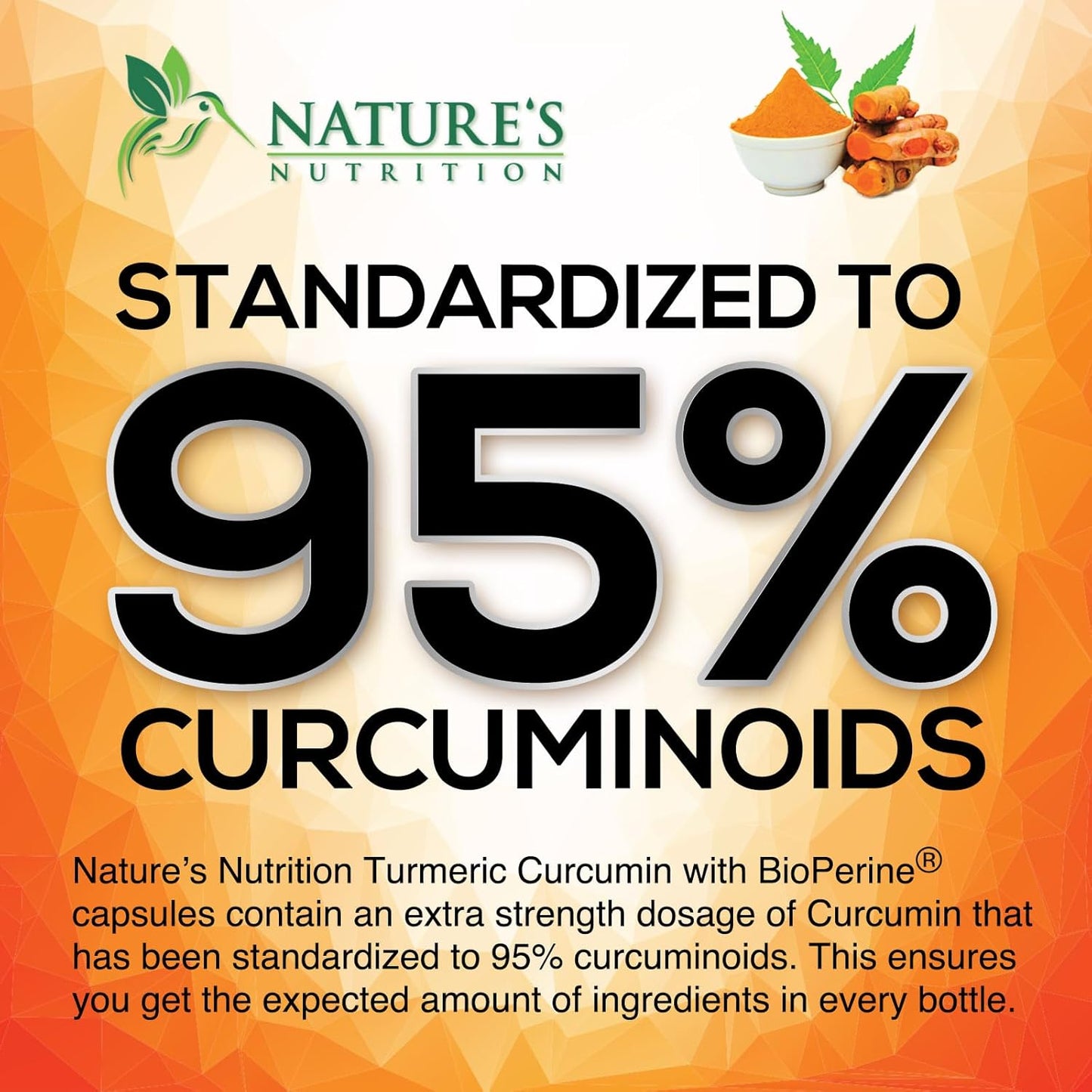 Turmeric Curcumin Supplement 1950mg - 95% Curcuminoids with Organic Turmeric & BioPerine Black Pepper Extract for Best Absorption, Nature's Vegan Joint Support, Non-GMO, Bottled in USA - 60 Capsules