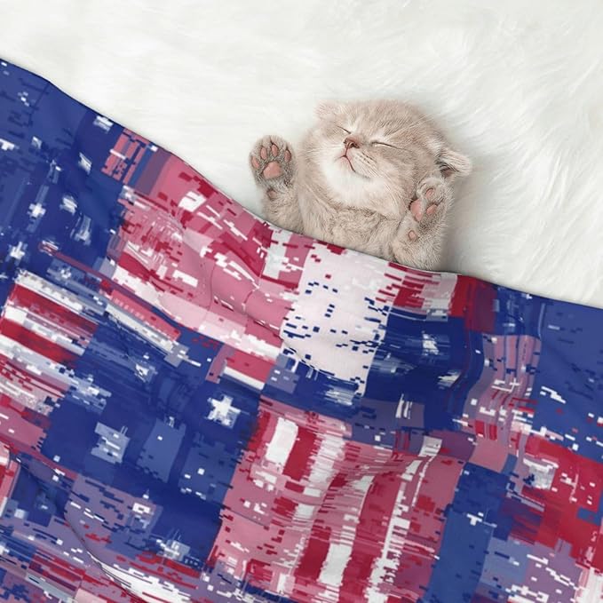 Pet Blanket for Couches and Beds, American Flag and Colored Balloons, Reversible Double Sided Plush Design with Soft Bumpy Texture and Smooth Surface, Furniture Protector