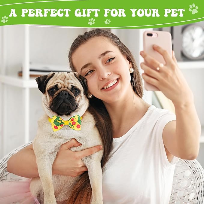 Reginary 100 Pieces Dog Bow Tie Collar Set Include 40 Dog Neckties, and 30 Puppy Bowties, 30 Collar Flowers, Adjustable Pet Ties Grooming for Small Medium Cats Pets Supply(Cactus)