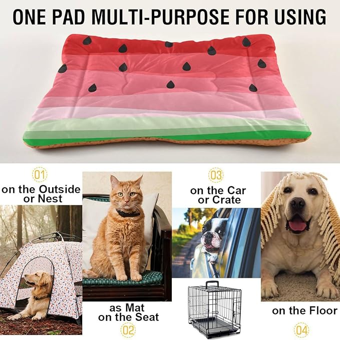Pet Bed Watermelon Fruits Dog Bed Mat Absorbing Non Slip Pad Pet Sleeping Mat for Small, Medium, and Large Dogs Puppy Cat 36 in x 24 in