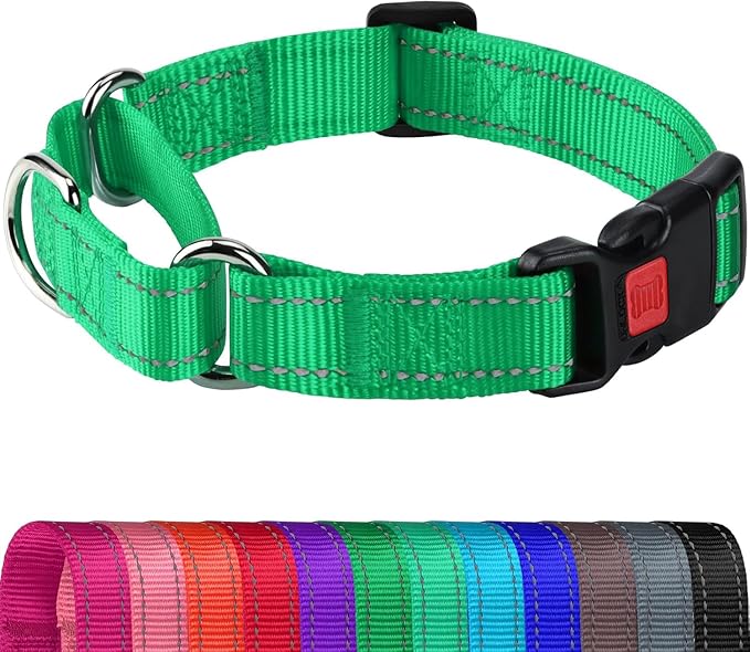 Joytale Martingale Collar for Dogs, Reflective Heavy Duty for Safety, Quick Release Buckle, Adjustable Nylon Collars for Medium Dogs Walking Training, Green,M