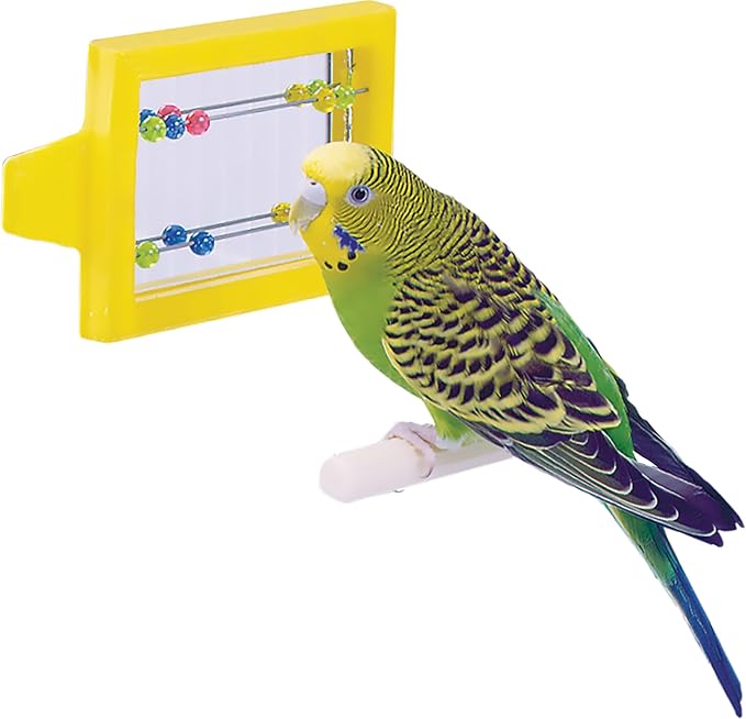 Penn-Plax Bird Life - Mirror with Beads Toy | Easy to Attach to Any Bird Cage | Keep Your Birds Entertained and Stimulated (BA507)