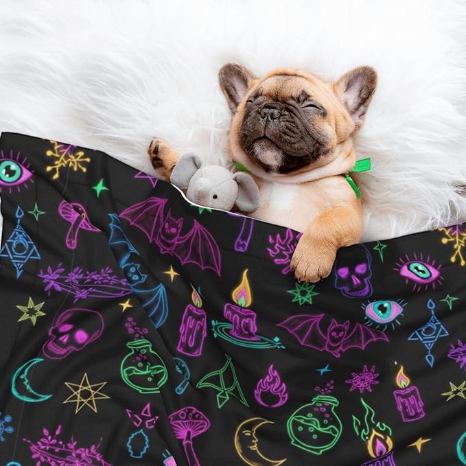 Pet Blanket for Couches and Beds, Halloween Goth Witchy Witch, Reversible Double Sided Plush Design with Soft Bumpy Texture and Smooth Surface, Furniture Protector