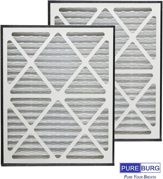 PUREBURG 20x25x3 Replacement Filter Compatible
