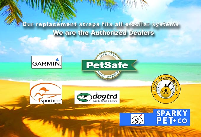 Sparky Pet Co - ECollar Replacement Strap - Bungee Dog Collar - Waterproof - Adjustable - Secure Nexus Wheel Lock - for Electronic Training & Invisible Fence Systems - 1" (Neon Pink)
