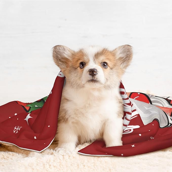 Happy New Year Throw Blanket - Red Xmas Blanket for Dog Cat Pet 23x16 Santa Blankets for Couch Sofa Bed