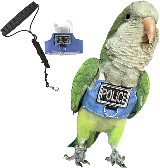 Bird Flight Harness Vest, Parrot Flight Suit with Leash, Bird Flying Clothes with Rope and Handle for Outdoor Activities (with Leash,Green Quaker)