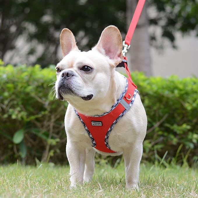 Mercano Soft Mesh Dog Harness and Leash Set, No-Chock Step-in Reflective Breathable Lightweight Easy Walk Vest Harnesses with Safety Buckle for Small Dogs, Cats (Red, XXS)