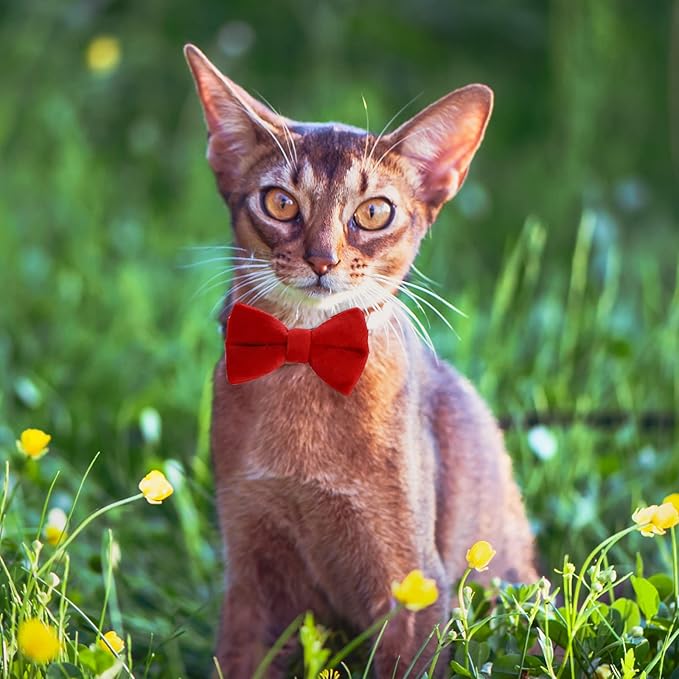 Sliverdew 2 Pcs Velvet Cat Collar with Bell and Bowtie, Adjustable Breakaway Cat Collars Kitten Small Puppy Safety Bow Tie Solid Wedding Basic Color Cat Bow Tie Collar