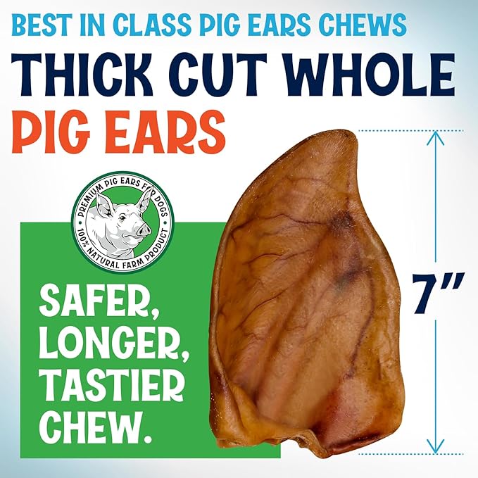 Whole Pig Ears for Dogs Large - 50 Pack Long Lasting Dog Chews – One Ingredient Delicious All Natural Flavor – Easy to Digest Dog Treats for Large Dogs - Great for Teeth and Gums