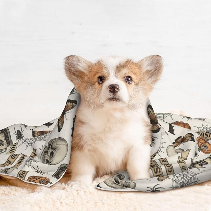 Double Sided Plush Pet Blanket for Small Large Animals, Vintage Skull Skeleton Spider Web Witch Board Gothic, Reversible Throw with Dimpled Dot Side and Flat Side for Kennels Living Rooms
