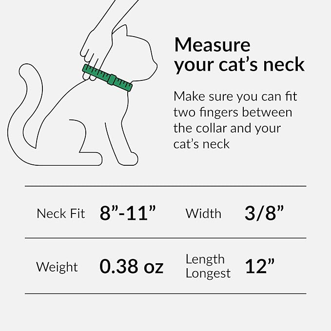 CollarDirect Leather Cat Collar, Kitten Collar with Removable Bell Black Blue Red Orange Lime Green (8-11 Inch, Purple)