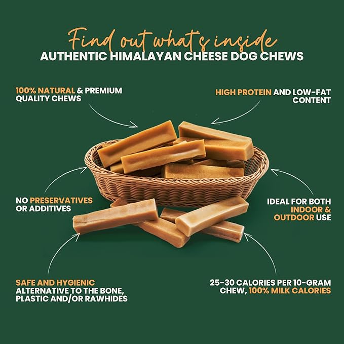 Authentic Himalayan Yak Cheese for Dogs - XLarge (Pack of 2) - Sourced from Pristine Himalayan Foothill, Rawhide-Free, NO preservatives