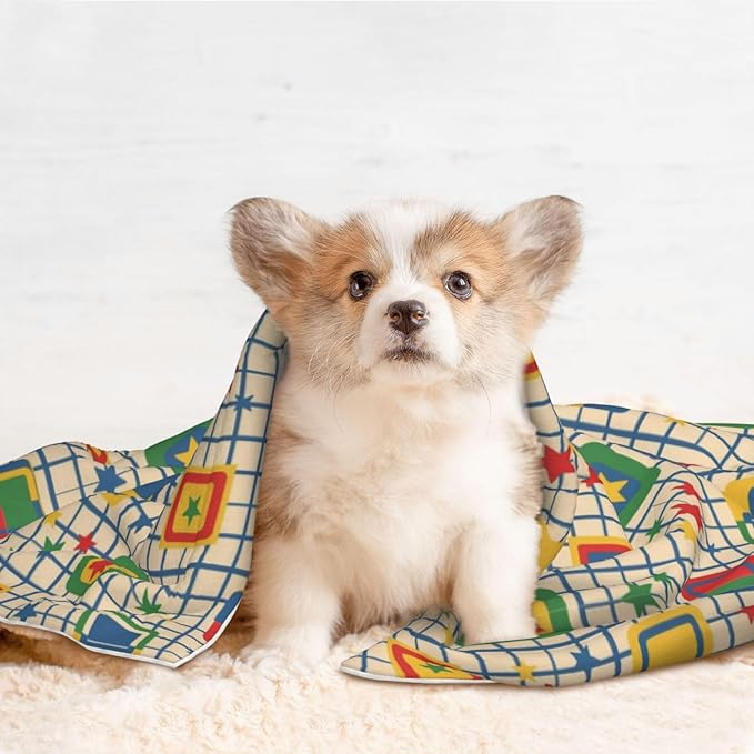 Pet Blanket for Indoor Outdoor Use, Abstract Mid Century Modern Grid, Two Sided Reversible Plush Mat with Bumpy Dot Texture for Patios Crates Portable Bed Companion