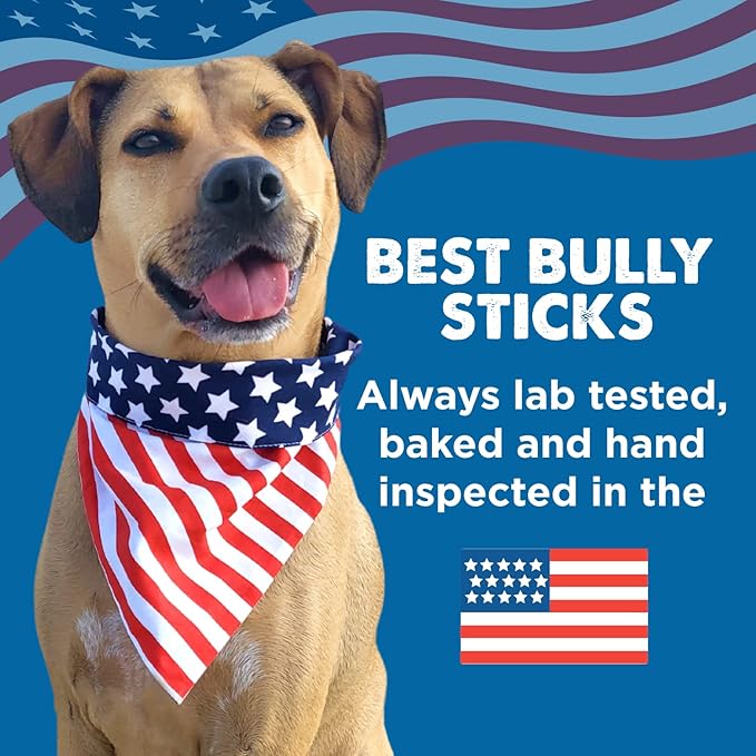 Best Bully Sticks Pig Ears for Dogs - 12 Count (Pack of 1) - All-Natural, USA Baked and Packed, Single Ingredient, 100% Pork, Easily Digestible - Puppies, Small, Medium, Large