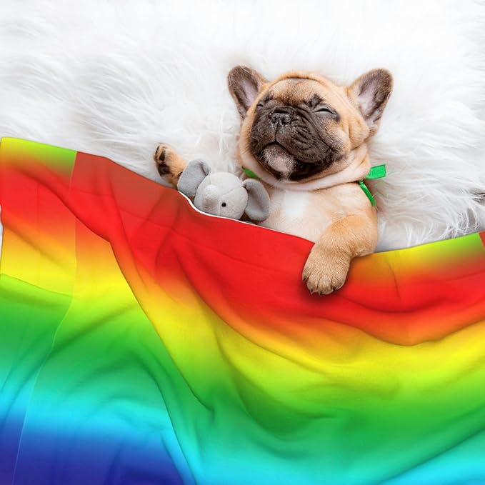 Dog and Cat Blanket in One, Colorful, Double Sided Plush Throw with Raised Dot Pattern on One Side and Flat Velvet on Other for Variety