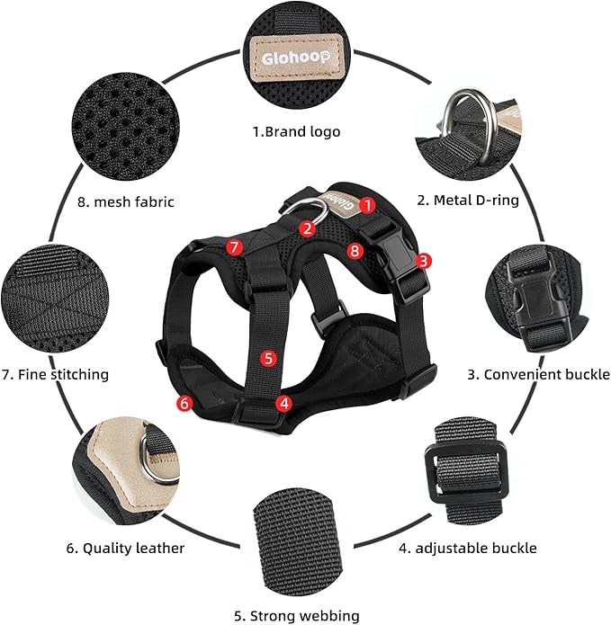 Small Dog Harness and Leash Set, Breathable Mesh Puppy Harness, Adjustable Dog Harness for Small Medium Large Dogs, No-Pull Pet Harness for Daily Walking (Black, X-Large)