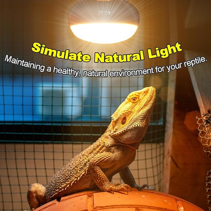 MIXJOY 100W Reptile Heat Lamp Bulb, 2Pack Reptile Basking Spot Light, Upgraded Intense Heat Basking Bulb, UVA Daylight Heat Lamp Bulbs for Reptiles, Bearded Dragon, Lizard, Tortoise, Chicken
