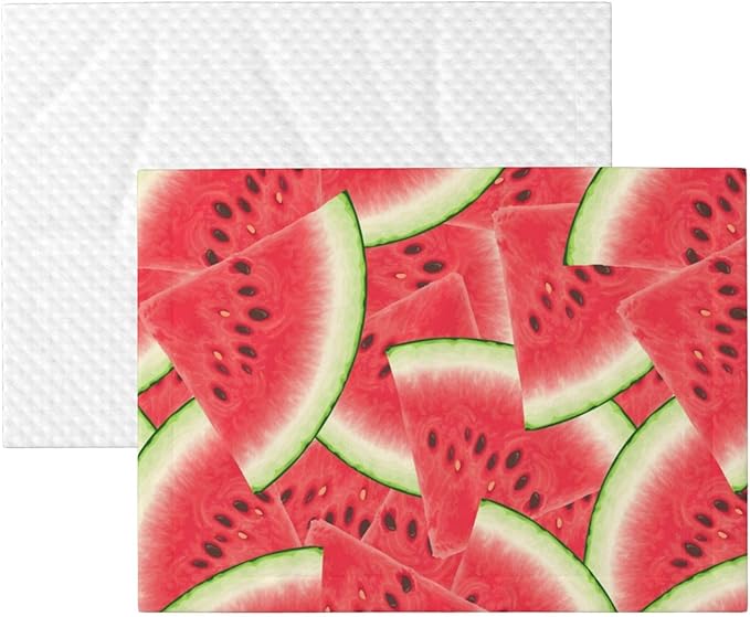 Pet Blanket for Car Rides Vet Visits, Watermelon Fruit Summer Art, Two Sided Reversible Plush Design with Bumpy Dot Side Offers Comfort Home Piece On Go Travel
