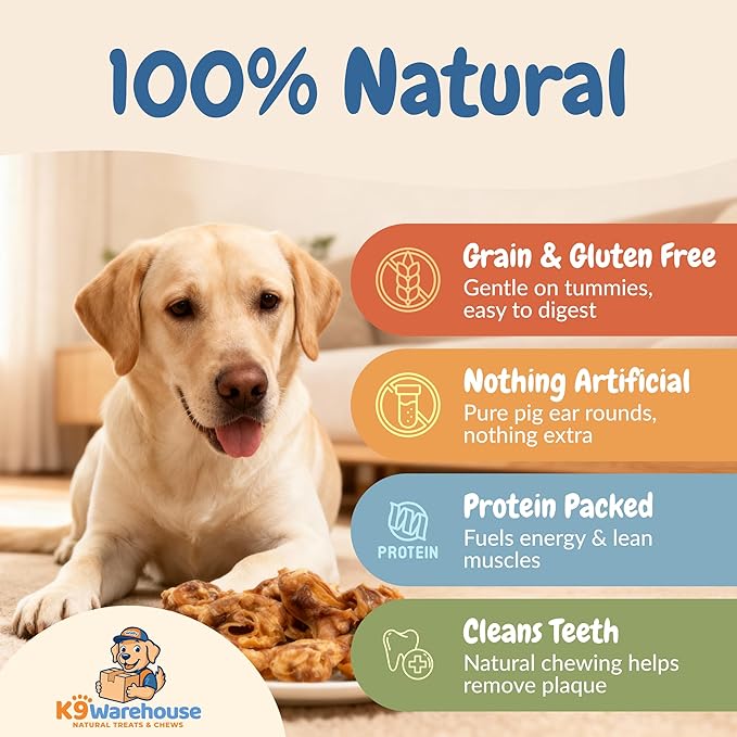 K9warehouse Premium Natural Pig Ears Rounds Packed in USA - 50 Count Pig Ears for Dogs Large - Tasty Pigs Ear Dog Treats - Bulk Pig Ears for Large/Small Dogs - Ideal Dog Pigs Ears Made for Training