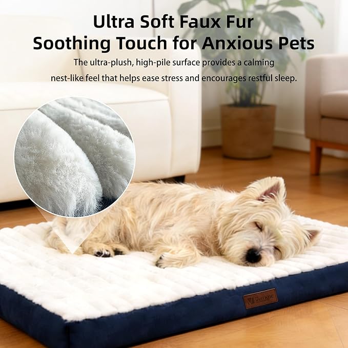 Orthopedic Dog Bed with Firm High-Density Egg Crate Foam Mattress,Soft Short Plush Surface Pet Beds,Machine Washable with Removable Cover & Non-Slip Bottom for Small Breeds(Blue, 23"L x 17"W x 3"H)