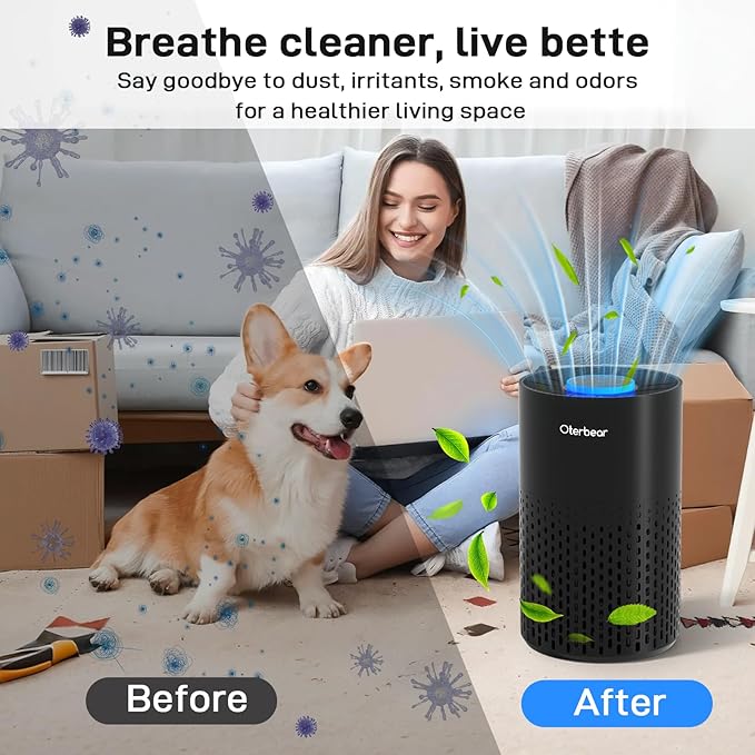 Air Purifiers for Home Bedroom Up to 1250 Ft² - H14 HEPA Air Purifier with Aroma & Sleep Mode - 24dB Small Room Air Purifier for Allergies, Smoke, Dust, Pollen, Pet Dander,4000B,Black