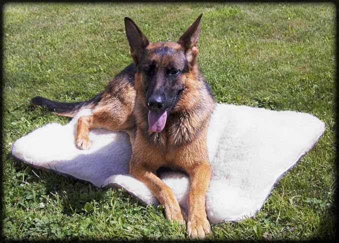ActiveDogs Hi Loft Sherpa Faux Lambskin Dog Bed - Small 18"x24" - Orthopedic & Machine Washable - Double Layered