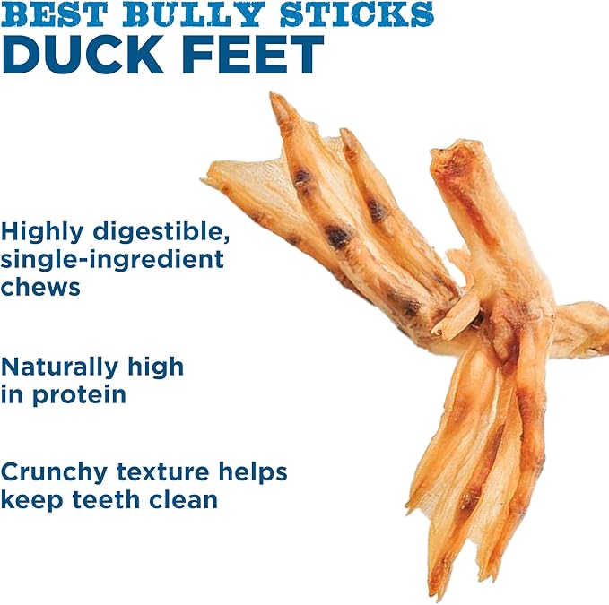 Best Bully Sticks Duck Feet - 30 Count (Pack of 1) - All-Natural, Single-Ingredient, Easily Digestible, Supports Hips and Joints - Safe Alternative to Chicken Feet Dog Treats