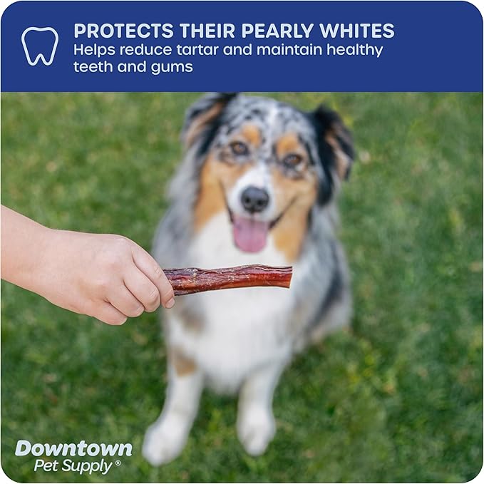 Downtown Pet Supply USA Sourced Bully Sticks for Dogs - Grass-fed Beef Chews, Low-Odor & Rawhide-Free, Long Lasting Dog Treats - Healthy, Safe & Delicious Chews (6" 30 Pack)