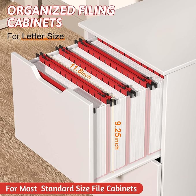 Plastic Hanging File Folder Extra Capacity,12 Pack Reinforced Hang Folders with Heavy Duty 2 Inch Expansion,Filing Cabinet Folders Letter Size,Hanging Organizer Designed for Bulky Files(Red)