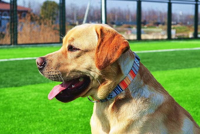 Dog Collar with Bohemia Floral Tribal Geometric Patterns - Soft Ethnic Style Collar Adjustable for Small Medium Large Dogs（Bohemian Orange,M）
