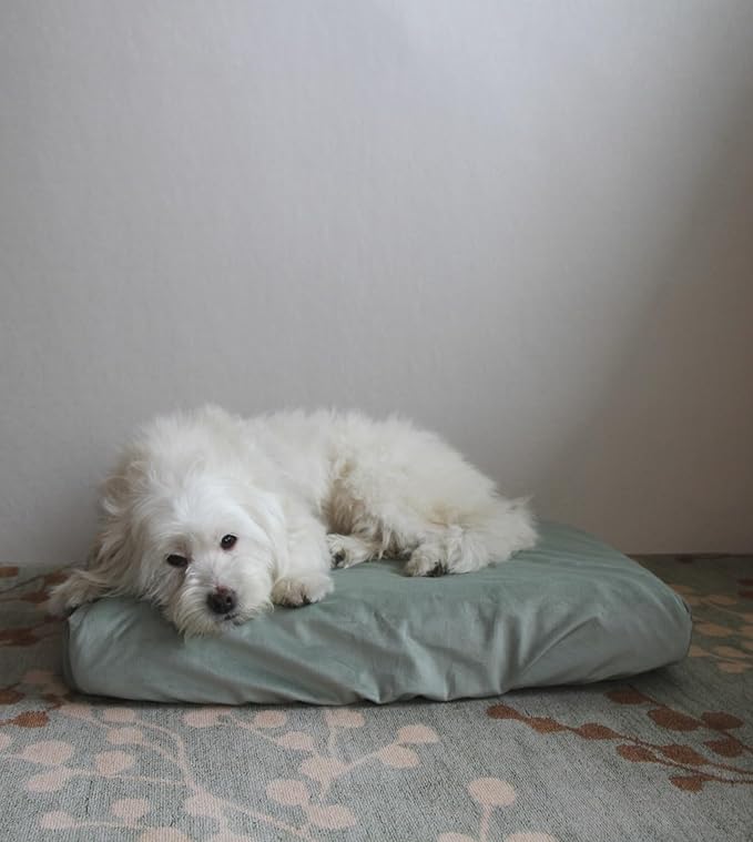 Elastic Washable Dog Bed Cover Replacement Sage Green 42 x 30 Inch