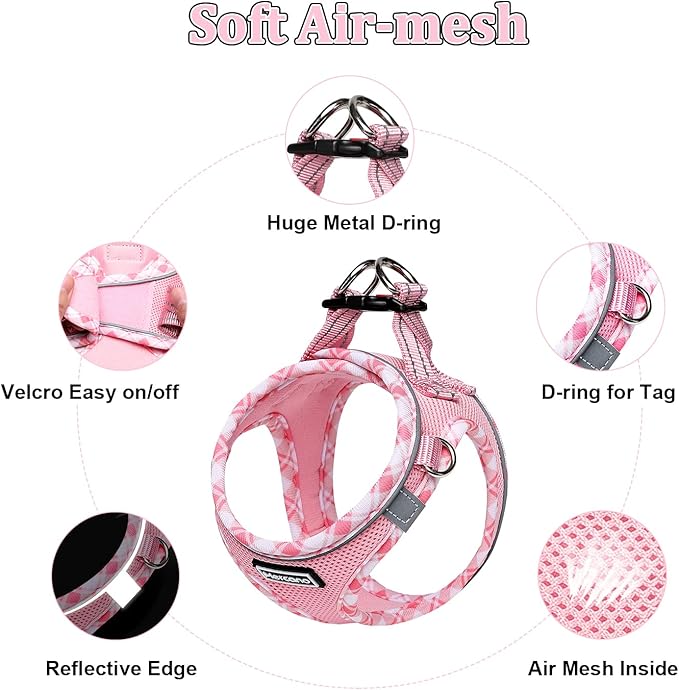 Mercano Soft Mesh Dog Harness and Leash Set, No-Chock Step-in Reflective Breathable Lightweight Easy Walk Vest Harnesses with Safety Buckle for Small Dogs, Cats (Pink, XXS)