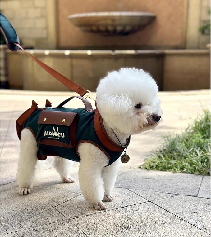 Dog Lift Harness Dog Carrier Dog VES Harness Adjustable Dog Leash with Small Puppy Treat Bag（Green,M）