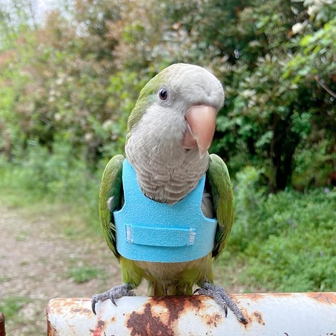 Bird Flight Harness Vest, Parrot Flight Suit with Leash for Parakeets Cockatiels Conures Budgies, Bird Flying Clothes with Rope and Handle for Outdoor Activities Training (M, Blue)