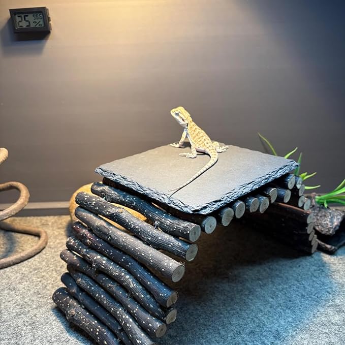 Reptile Basking Platform 6 × 6", Extra Large Reptile Slate, Basking Rock, Slate Tiles Rocks for Reptiles, Terrarium Bowls for Bearded Dragon Tortoise Turtle Ball Python Snake Lizard Gecko