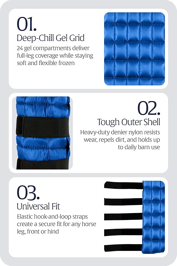Equinavia Cool Relief Therapy Ice Boots Leg Wraps for Horses, Gel Pack with Adjustable Straps | 16.5" x 15.5" Single - Royal Blue - Single - One Size