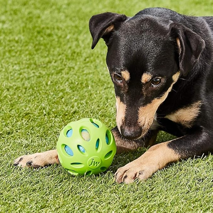 Petmate Crackle Heads Crackle Ball Crunchy Noise Chew Fetch Toy for Dogs Assorted Colors,Medium 3' Diameter,(Pack of 2)
