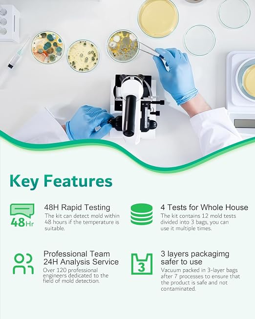 Mold Test Kit for Home